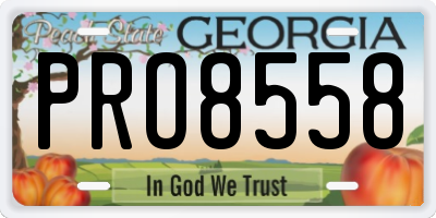 GA license plate PRO8558