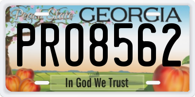 GA license plate PRO8562