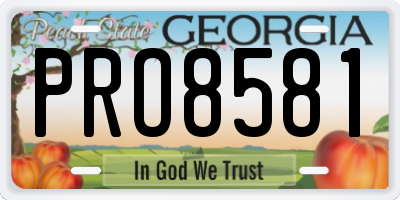 GA license plate PRO8581