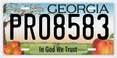 GA license plate PRO8583