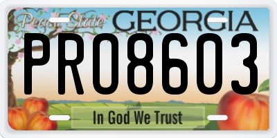 GA license plate PRO8603