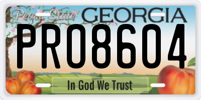 GA license plate PRO8604