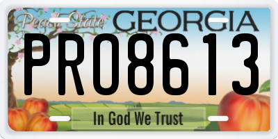 GA license plate PRO8613
