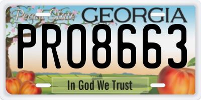GA license plate PRO8663