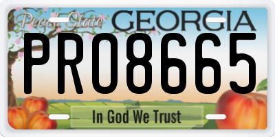 GA license plate PRO8665