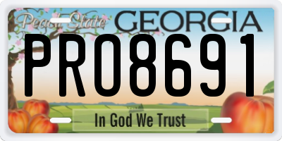 GA license plate PRO8691