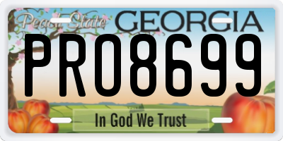 GA license plate PRO8699
