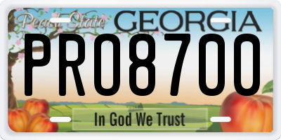 GA license plate PRO8700