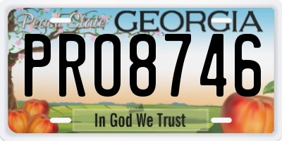 GA license plate PRO8746