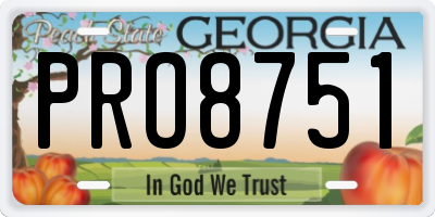 GA license plate PRO8751