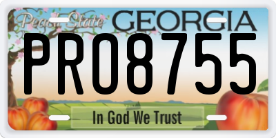GA license plate PRO8755