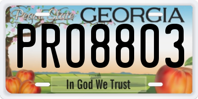 GA license plate PRO8803