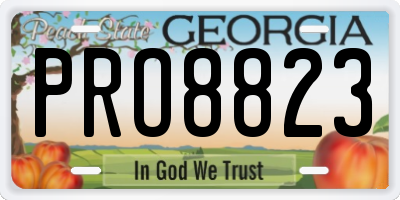 GA license plate PRO8823