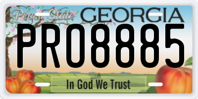 GA license plate PRO8885