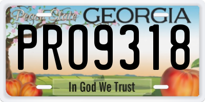 GA license plate PRO9318