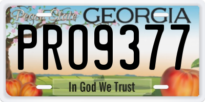 GA license plate PRO9377