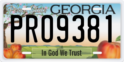 GA license plate PRO9381