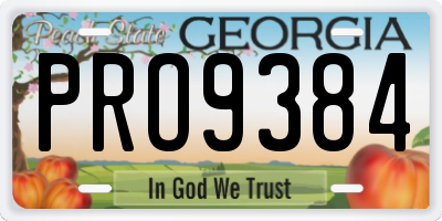 GA license plate PRO9384
