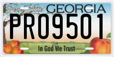 GA license plate PRO9501