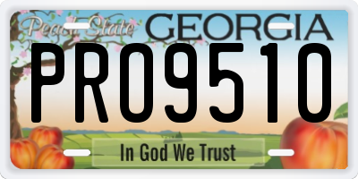 GA license plate PRO9510
