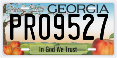 GA license plate PRO9527