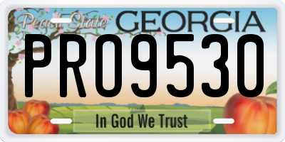GA license plate PRO9530