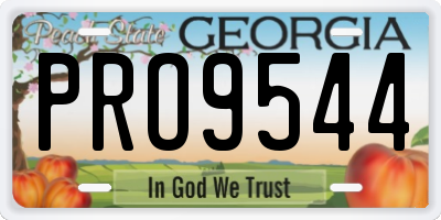 GA license plate PRO9544