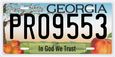 GA license plate PRO9553