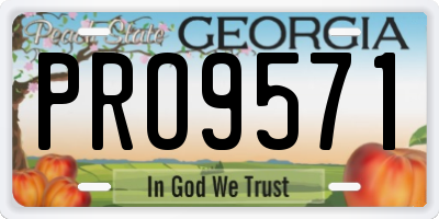 GA license plate PRO9571