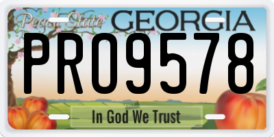 GA license plate PRO9578