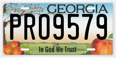 GA license plate PRO9579