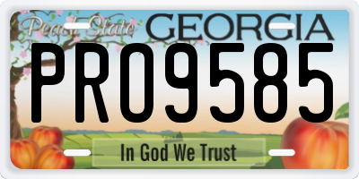 GA license plate PRO9585