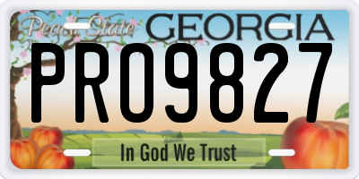 GA license plate PRO9827