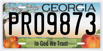 GA license plate PRO9873