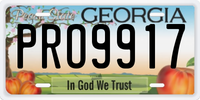 GA license plate PRO9917