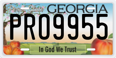 GA license plate PRO9955