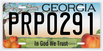 GA license plate PRP0291