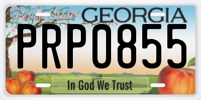 GA license plate PRP0855