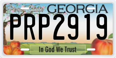 GA license plate PRP2919