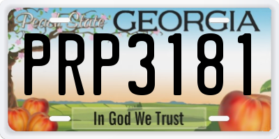 GA license plate PRP3181
