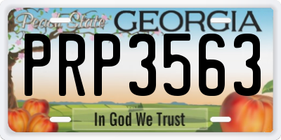GA license plate PRP3563