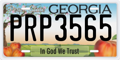 GA license plate PRP3565
