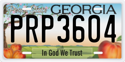 GA license plate PRP3604