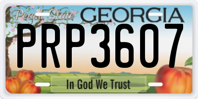 GA license plate PRP3607