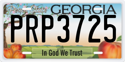GA license plate PRP3725