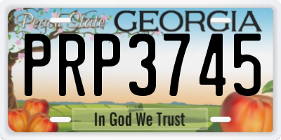 GA license plate PRP3745