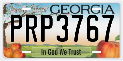 GA license plate PRP3767
