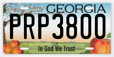 GA license plate PRP3800
