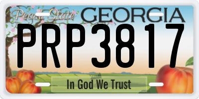 GA license plate PRP3817