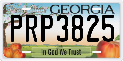 GA license plate PRP3825